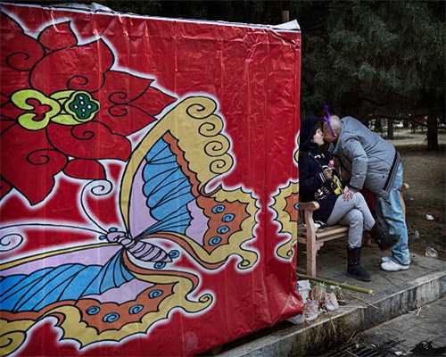 冰箱以旧换新？选东芝冰箱玩转艺术格调生活