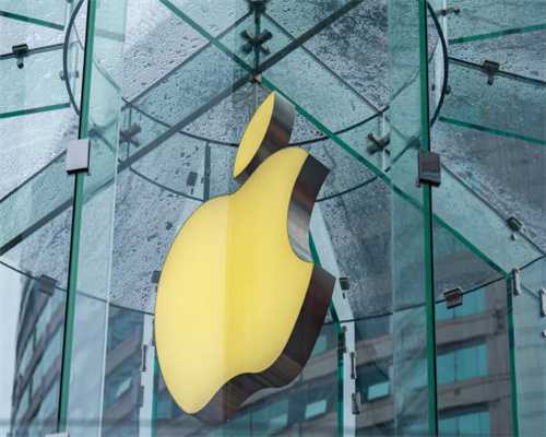 山石盆景制作全过程，建议收藏！