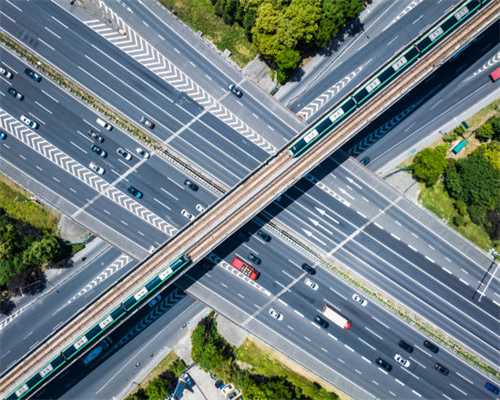 竹林里，有1种“七叶莲”价值高，1斤“600元”有人买，珍贵