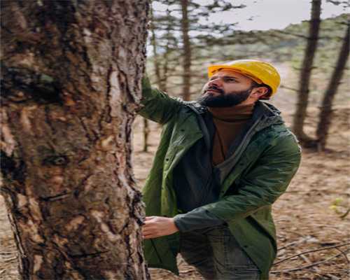 打造舒适家居：中央空调和新风系统的秘密