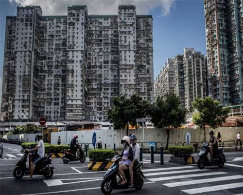 “一园一馆两廊”彰显基层治理的温度与深度