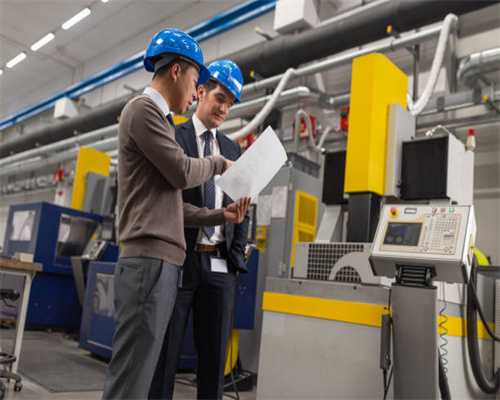 发财树这样养护修剪，枝繁叶茂绿油油一片！招财旺财寓意好