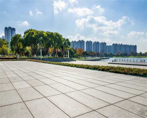 丽格海棠扦插成功了，这种方法成活率高？你试过几种？