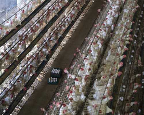 孩子的健康，容得半点马虎，学校的饭碗真的固吗？