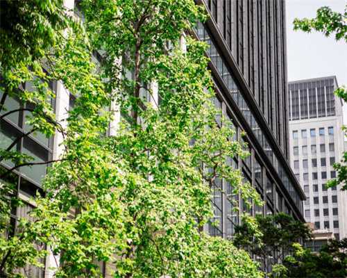 太原迎泽大桥南半幅开始安装汉白玉护栏