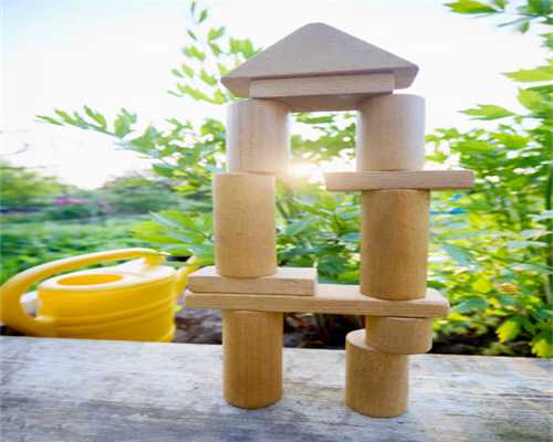 万寿菊栽植，丰花色艳，园林美化，富含叶黄素，号称“软黄金”