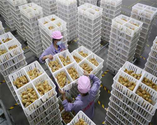 修漏这么难？上海一市民称家中现“雨带”横贯客厅，从“烟花”漏到“灿都”