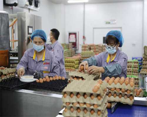 常见五金不锈钢铰链