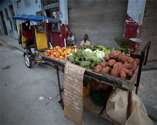上海这家茶饮店设计很出圈！打造都市山野风松弛感