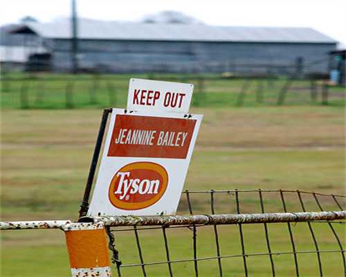 什么是回光灯LED？它有什么作用以及它的演变